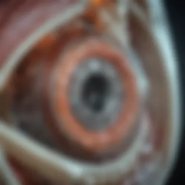 Future Advancements in MRI Technology and Their Impact Future advancements in MRI technology