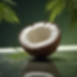 Coconut oil in a small bowl with a refreshing green backdrop