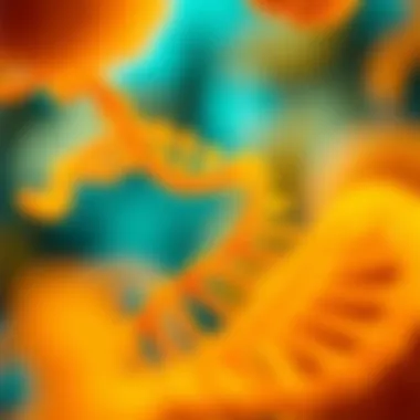 Correlation between genetics and obesity