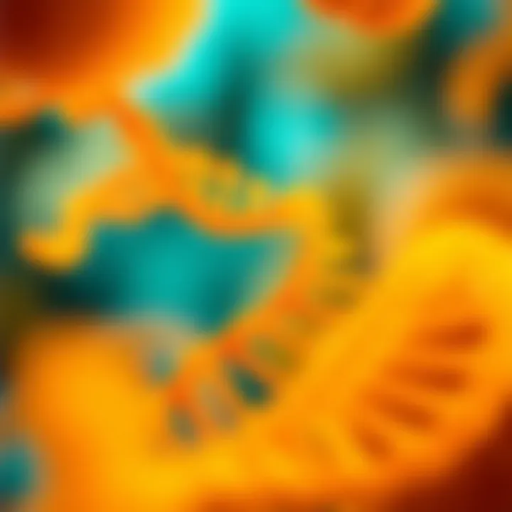 Correlation between genetics and obesity