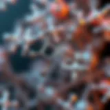 Molecular structure of guanfacine illustrating its chemical composition