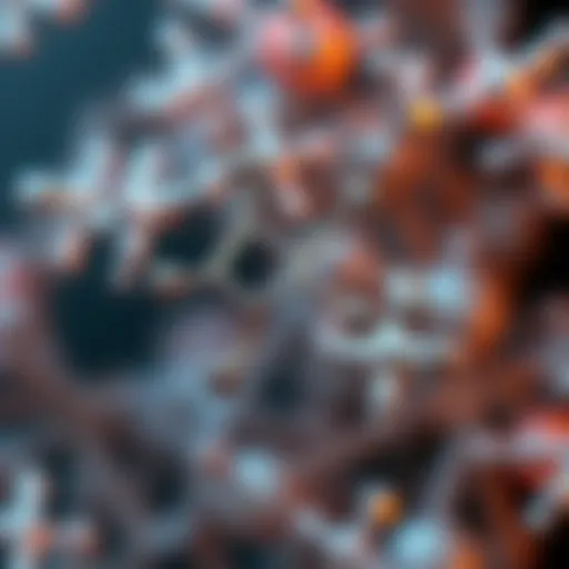 Molecular structure of guanfacine illustrating its chemical composition