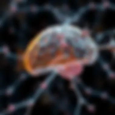 Graphical representation of guanfacine's impact on neurotransmitter levels in the brain