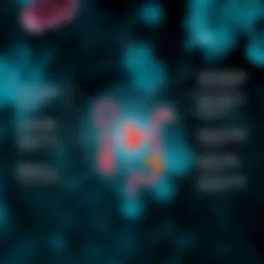 Diagram of gut microbiome functions
