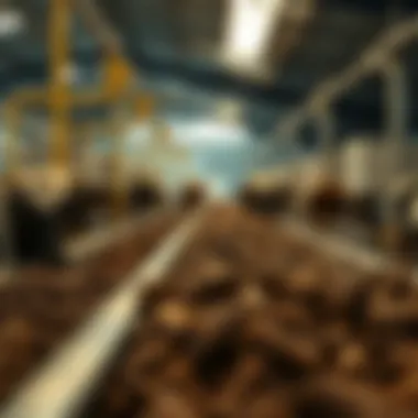 Biogas Production Overview Biogas production from cow manure