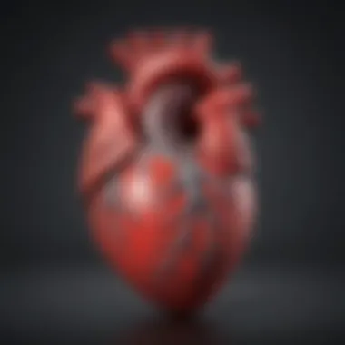 Diagram showing the heart's functioning during systolic and diastolic phases