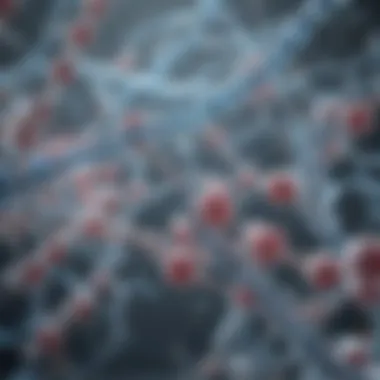 How mRNA Vaccines Work Illustration of mRNA vaccine mechanism