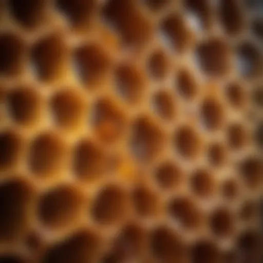 A close-up of honeycomb cells filled with golden honey