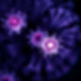 Visual representation of glioblastoma cells under a microscope