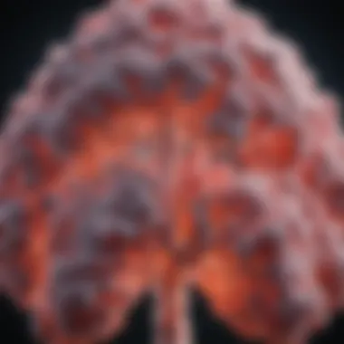 Genetic Predispositions in Lung Cancer Risk Visual representation of genetic factors associated with lung cancer