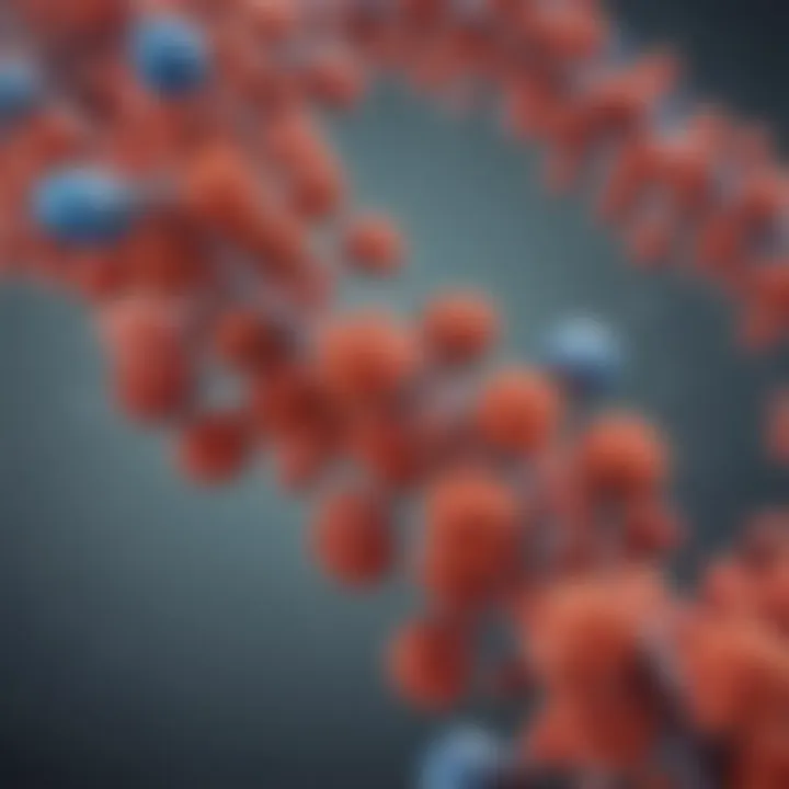 Graphical representation of the biochemical composition of IgA antibodies