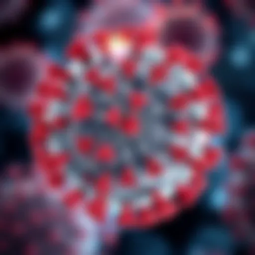 Diagram illustrating the immune response mechanisms