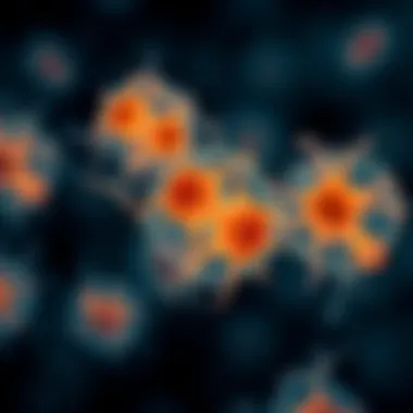 Intracellular calcium dynamics visualized through fura imaging