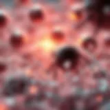 Visualization of Cellular Invasion Dynamics Cellular invasion dynamics visualization
