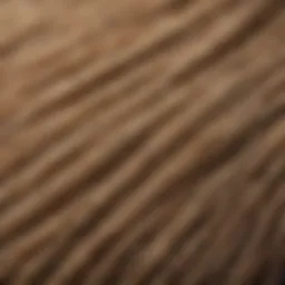 Close-up of jute fibers showcasing their texture and color