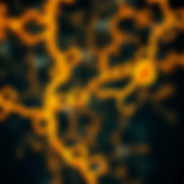 Metabolic Pathways of Keto Analogues Metabolic pathways involving keto analogues