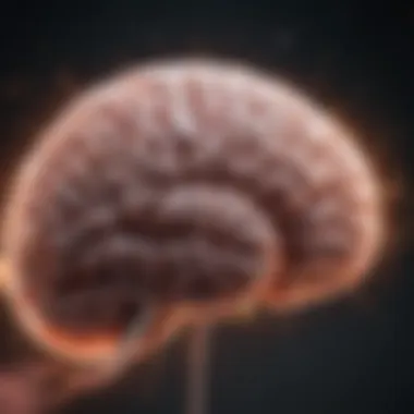 Brain Activity and Seizure Modulation in Ketosis Brain activity during ketosis