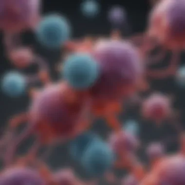 Molecular Representation of Ketones in Epilepsy Management A molecular representation of ketones