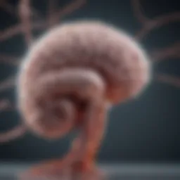 Overview of brain metastases