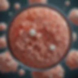 Microscopic view of Lactobacillus reuteri