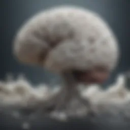 Illustration of brain white matter damage associated with leukomalacia