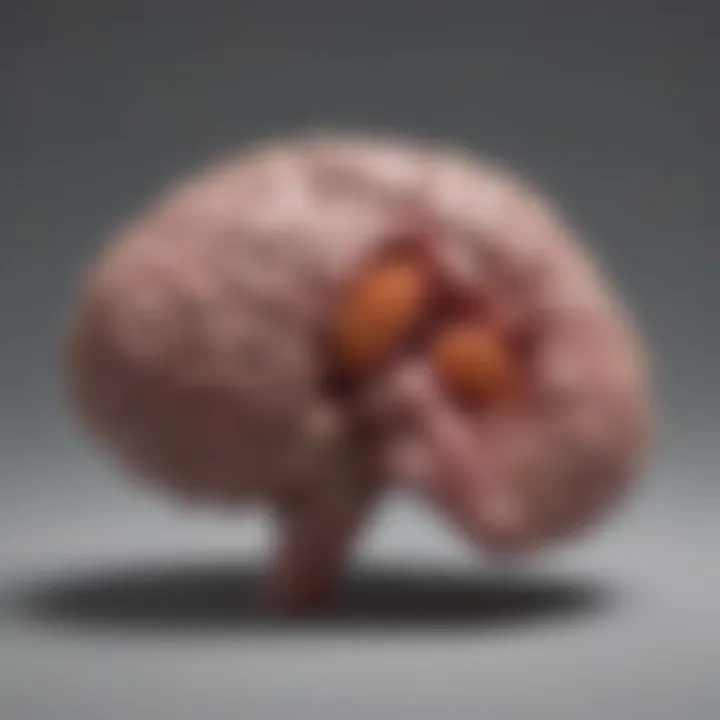 CT scan highlighting various types of liver lesions