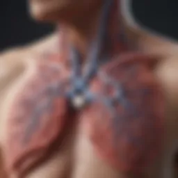 A detailed diagram illustrating the impact of rheumatoid lung disease on lung function.