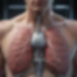 Illustration depicting lung mechanics during ventilation