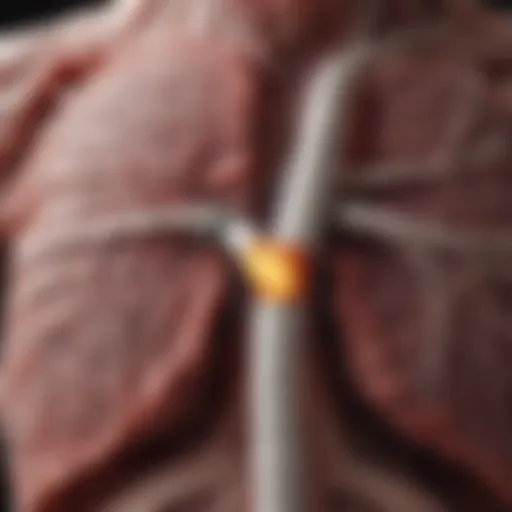 Illustration of lung tissue affected by scarring