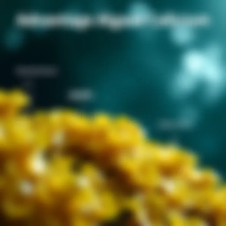 Advantages of Marine Algae Calcium Graph highlighting the advantages of marine algae calcium over traditional sources