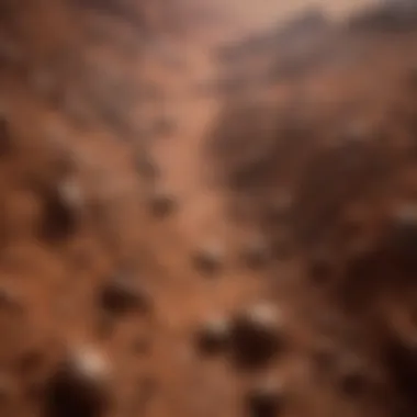 Analyzing Martian Soil Close-up of Martian soil samples