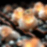 Close-up of silicon crystals used in solar panels