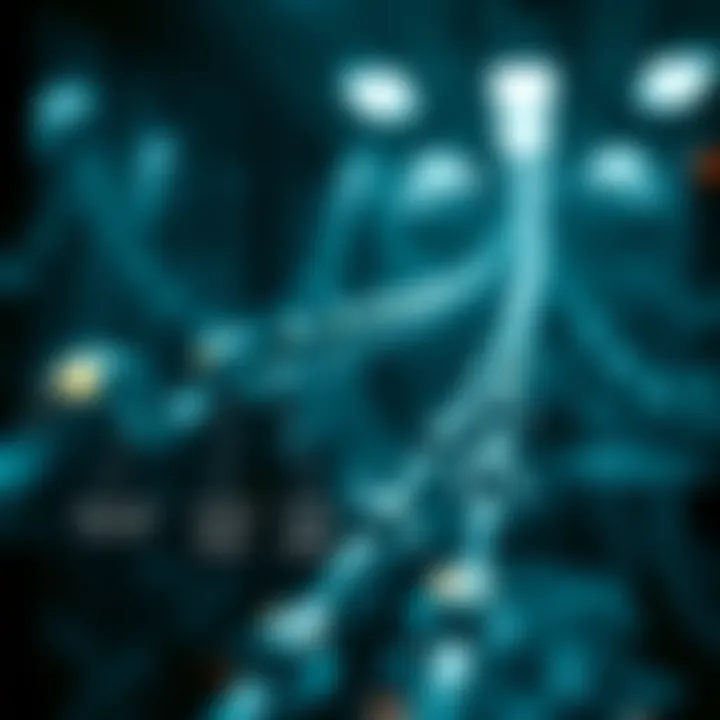 Infographic detailing the methodologies for measuring free light chains