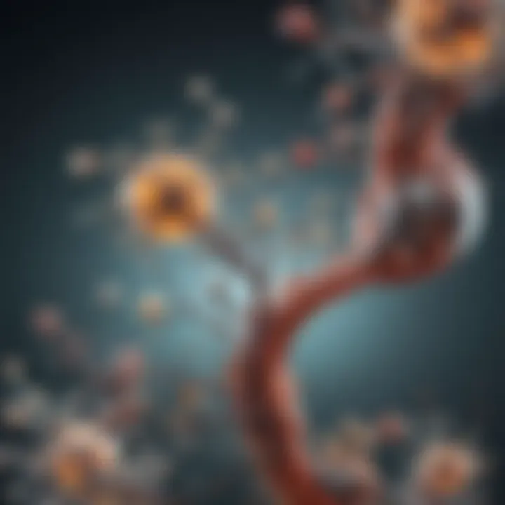 Visual representation of the mechanisms of action of serotonin antagonists