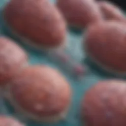Diagram illustrating the primary sites of metastasis in ovarian cancer