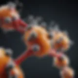 Molecular structure of metformin illustrating its chemical properties