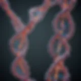 Methylation process diagram showcasing DNA changes