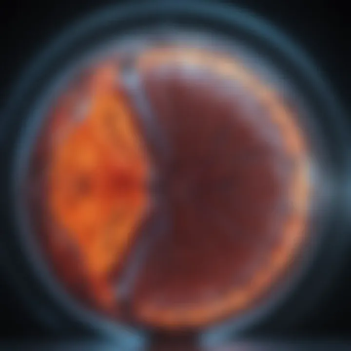 MRI scan revealing prostate cancer staging
