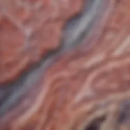 Histological slide showing the intricate architecture of multicystic mesothelioma