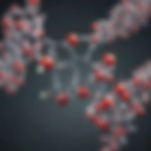 Chemical structure of Nifedipine illustrating its molecular composition