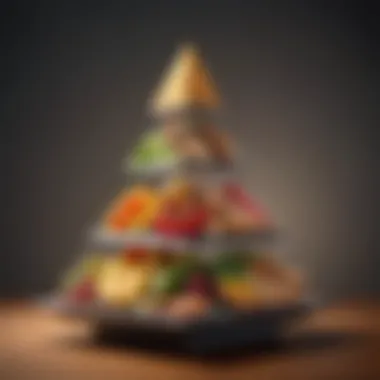 Visual Guide to Nutritional Proportions Infographic depicting the food pyramid and portions for a balanced diet
