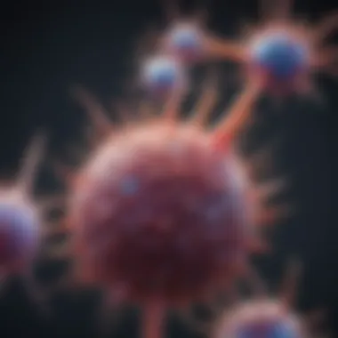 Flowchart detailing optimization strategies for cell manipulation using Maxcyte