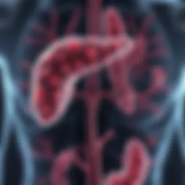 Diagram illustrating the biological mechanisms of pancreatic cancer