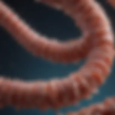 Emerging Therapies for Colon Cancer: A Research Perspective Emerging therapies in colon cancer research