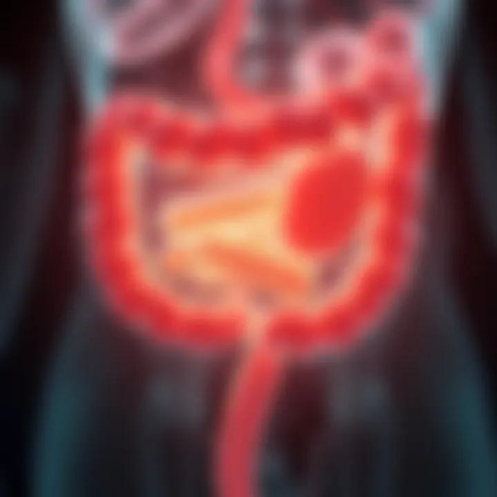 Probiotics in the Gastrointestinal Tract Visual representation of probiotics in action within the gastrointestinal tract