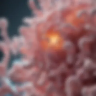 Probiotics and Their Impact on Vaginal Health Illustration of probiotics improving vaginal health