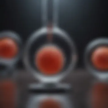 The Role of Precision Medicine in Prostate Cancer Treatment Precision Medicine Approach