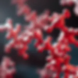 Illustration of protease enzyme structure