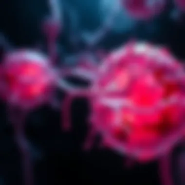 Cellular representation of lung cancer recurrence mechanisms