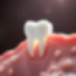 Diagram illustrating the structure of tooth enamel at a microscopic level